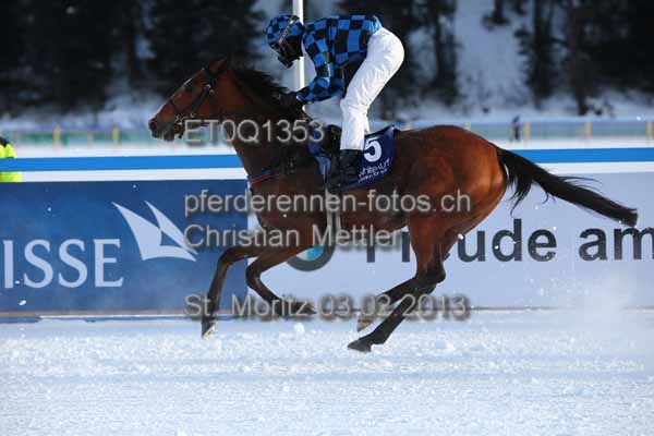 ET0Q1353 prot